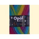 Opal Surprise Sockenwolle 100gr 4061