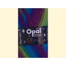 Opal Surprise Sockenwolle 100gr 4065